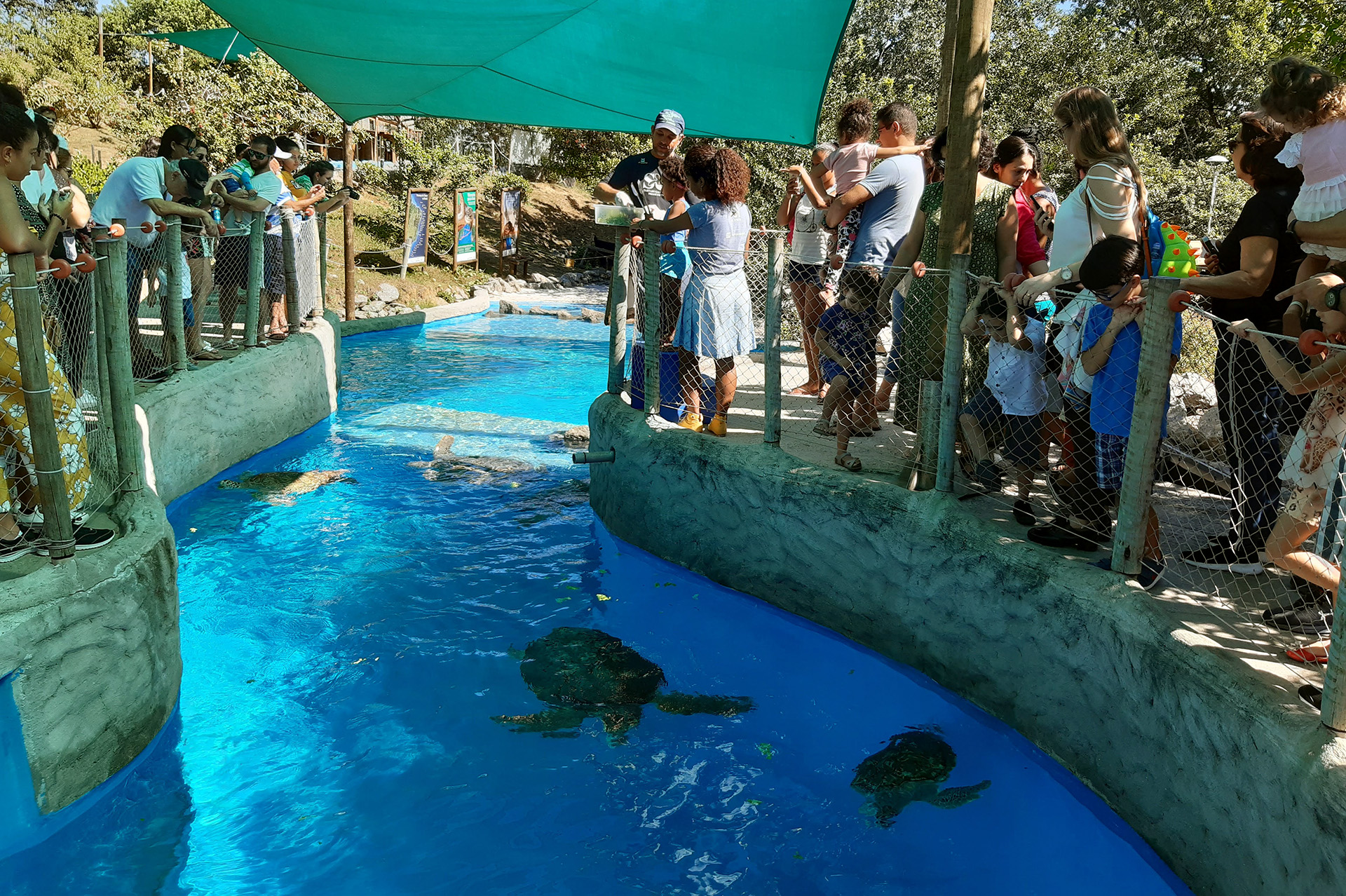 ex ex